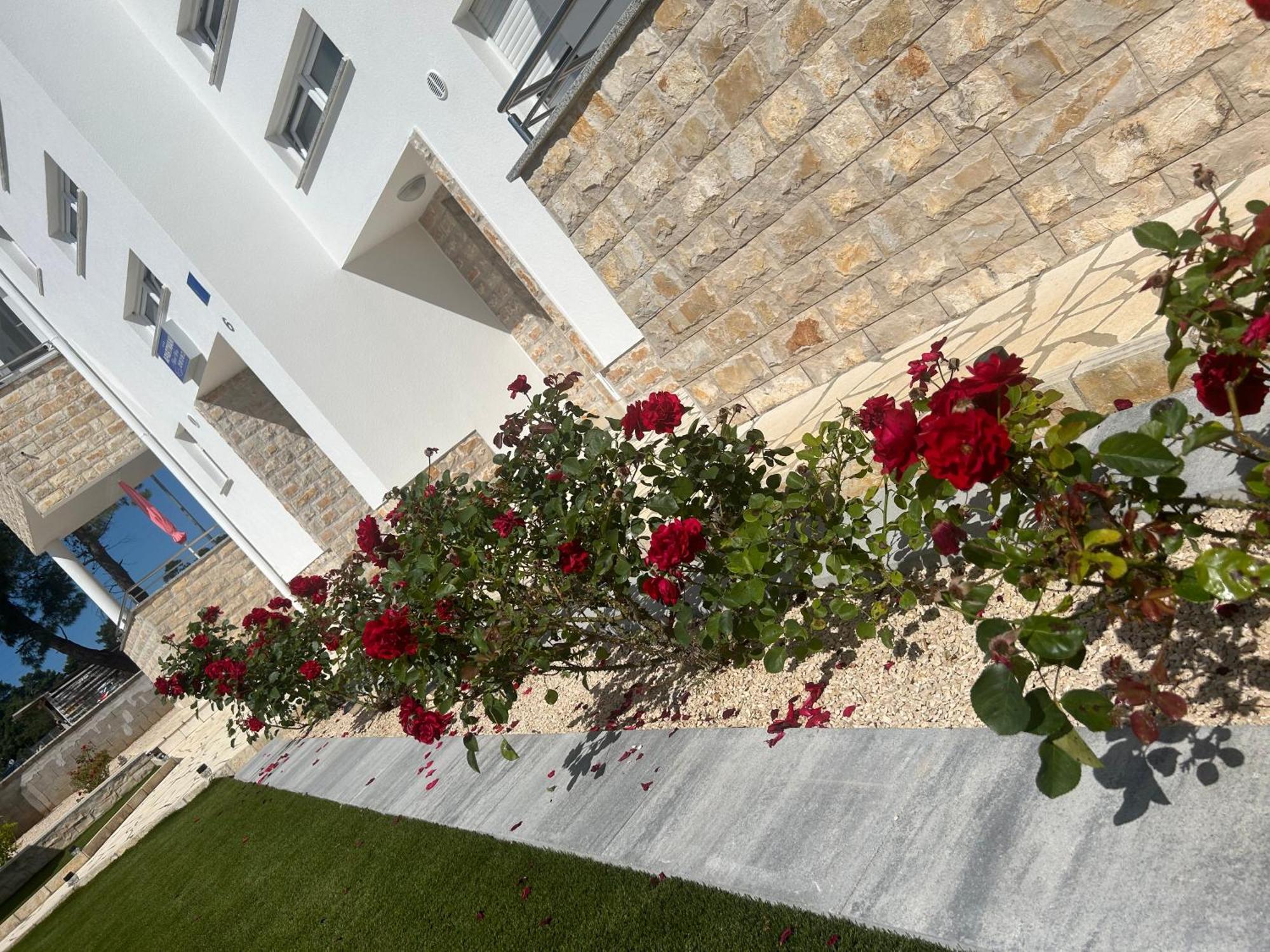 Apartments Nicole Wera Nin Εξωτερικό φωτογραφία